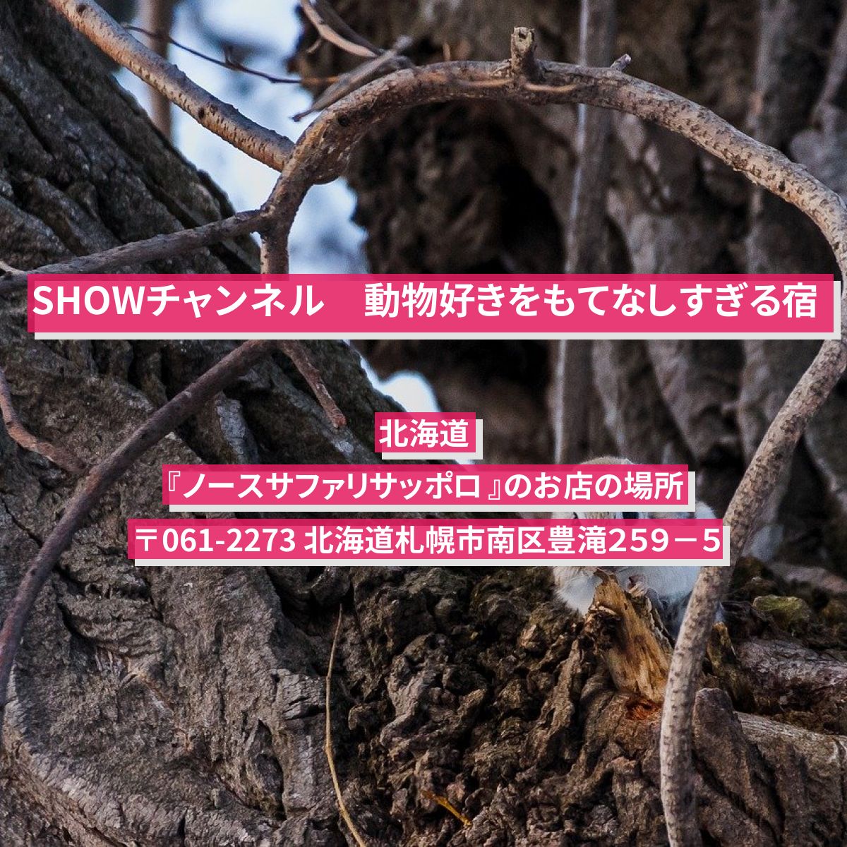 【SHOWチャンネル】動物好きをもてなしすぎる宿泊施設　北海道『ノースサファリサッポロ 』の場所