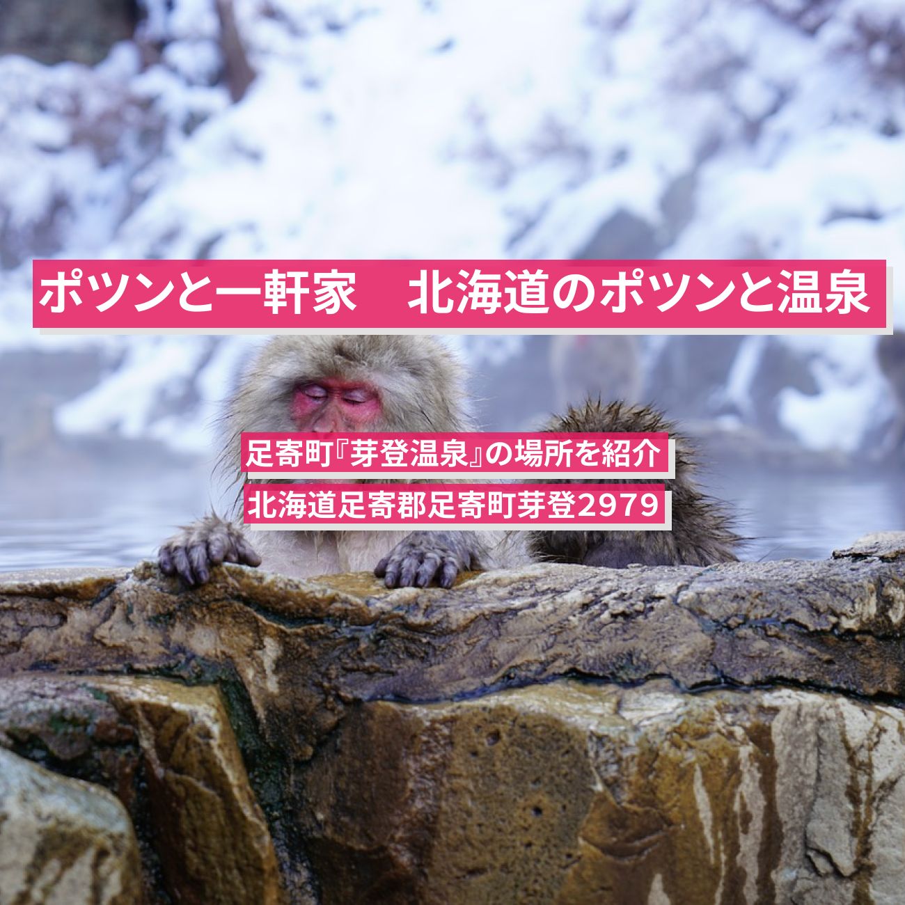 【ポツンと一軒家】北海道の山奥のポツンと秘湯温泉　足寄町『芽登温泉』の場所を紹介