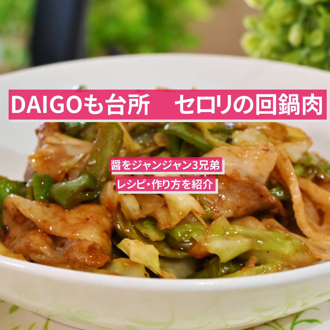 【DAIGOも台所】『セロリの回鍋肉』のレシピ・作り方を紹介