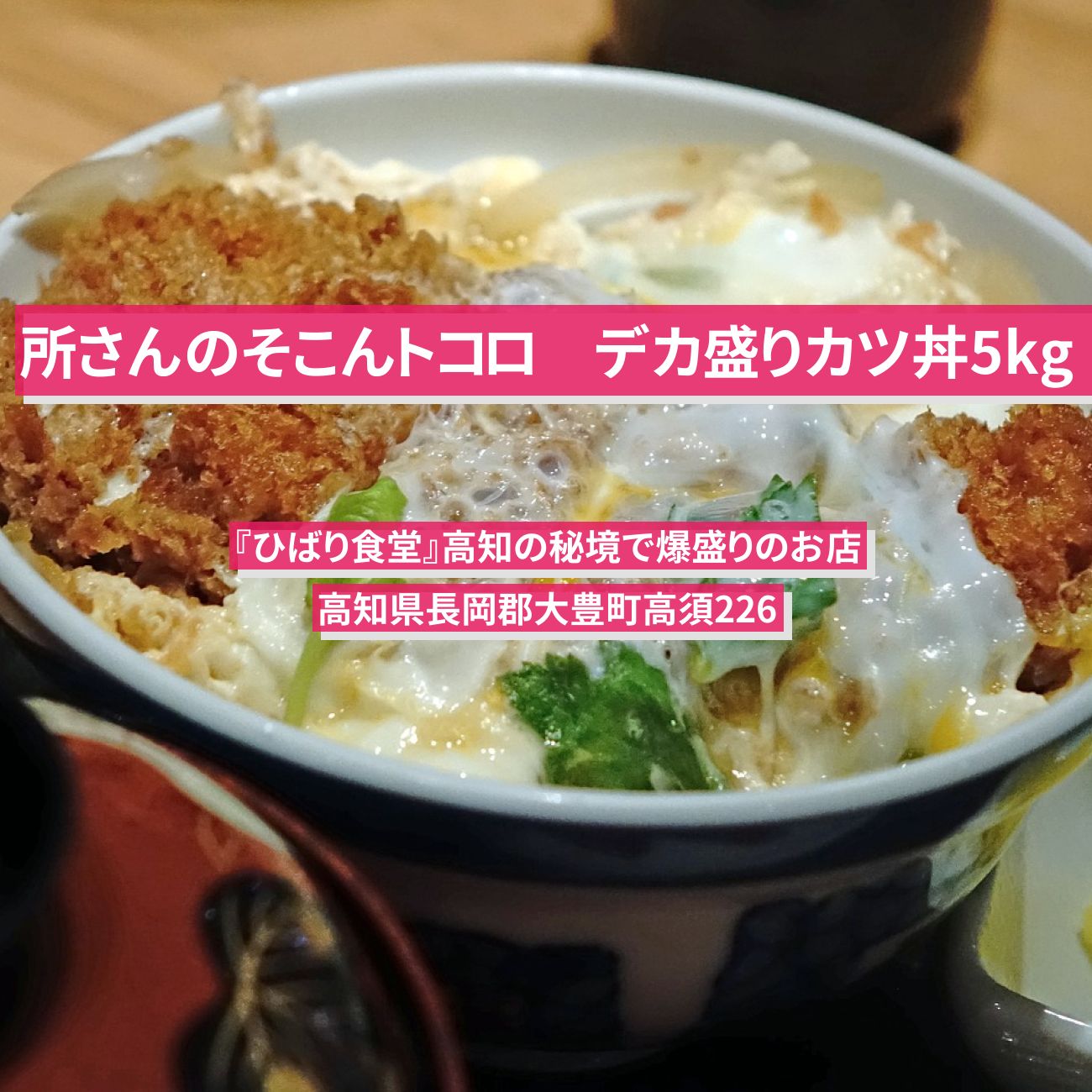 【所さんのそこんトコロ】デカ盛りカツ丼5kg『ひばり食堂』高知の秘境で爆盛りのお店