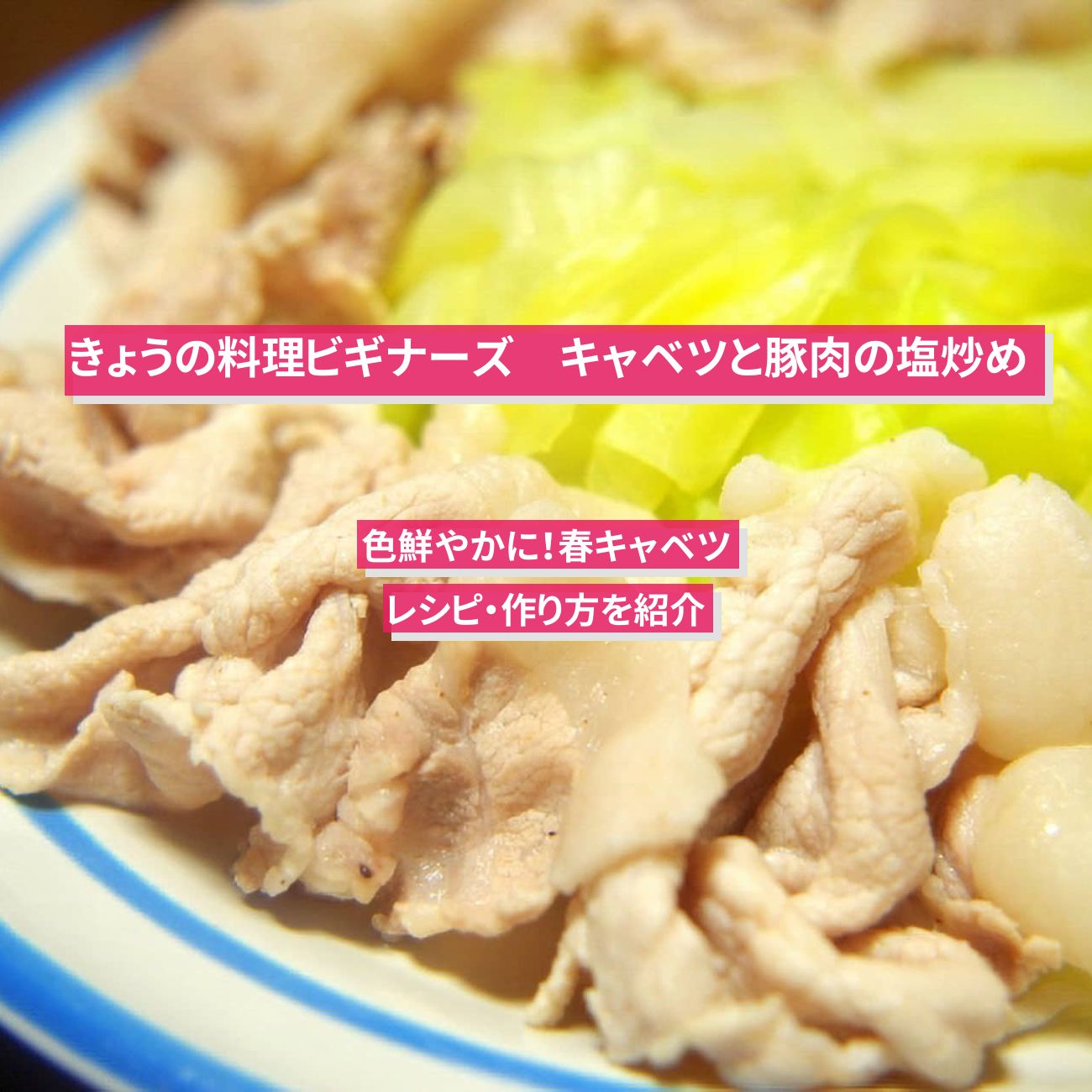 【きょうの料理ビギナーズ】『キャベツと豚肉の塩炒め』のレシピ・作り方を紹介