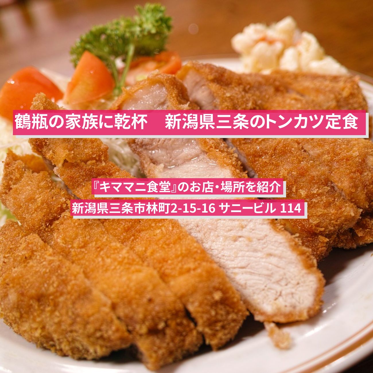 【鶴瓶の家族に乾杯】新潟県三条のトンカツ定食『キママニ食堂』のお店・場所を紹介〔中条あやみ〕