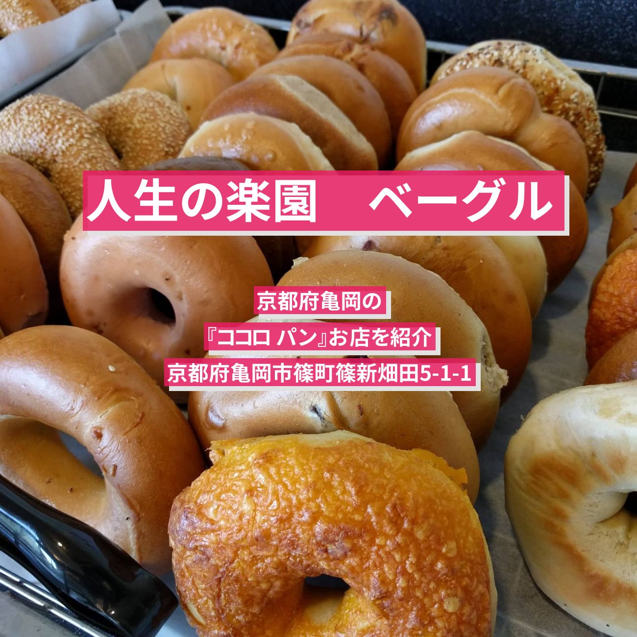 【人生の楽園】ベーグル『ココロ パン』京都府亀岡のお店を紹介