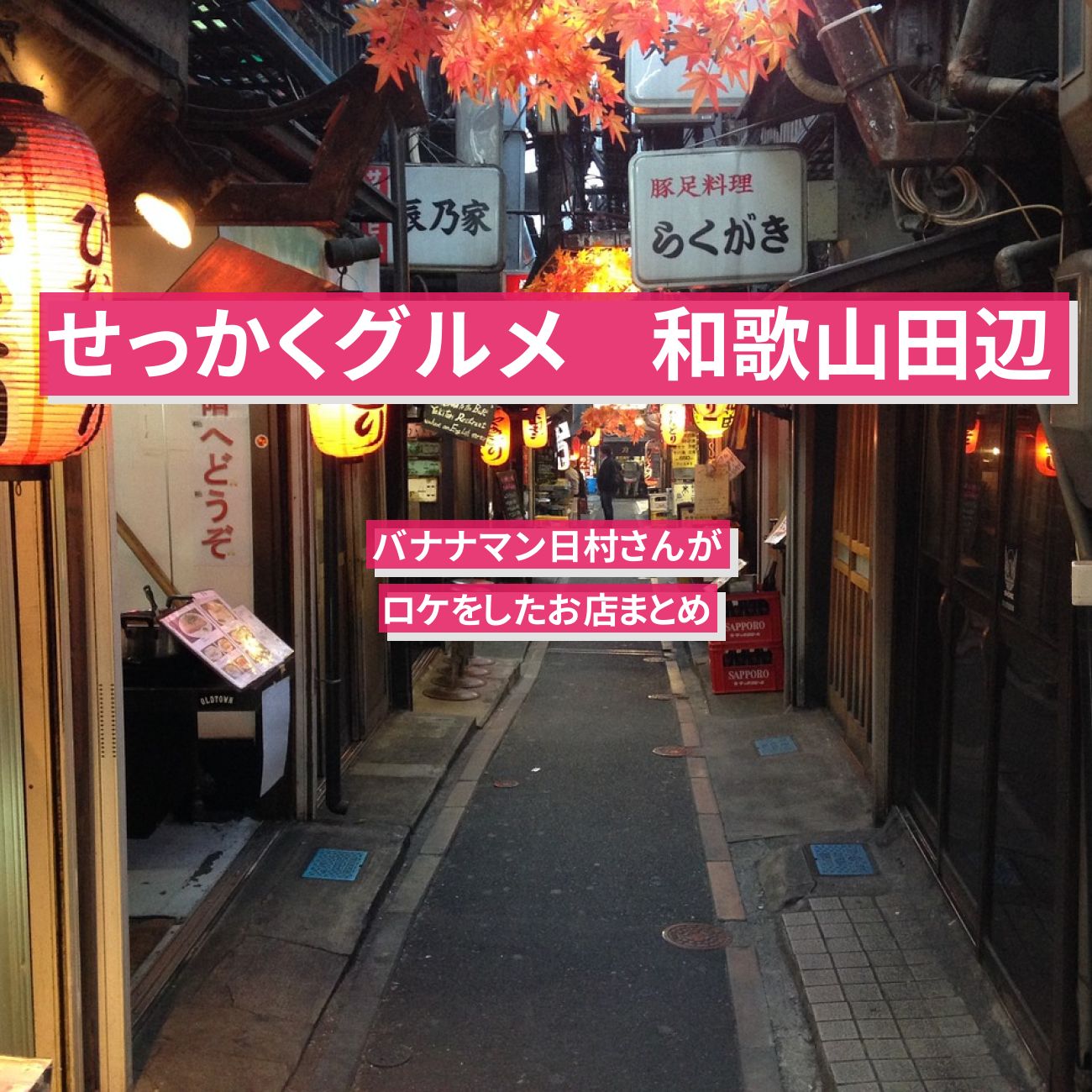 【せっかくグルメ】和歌山県田辺市でバナナマン日村さんがロケをしたお店まとめ