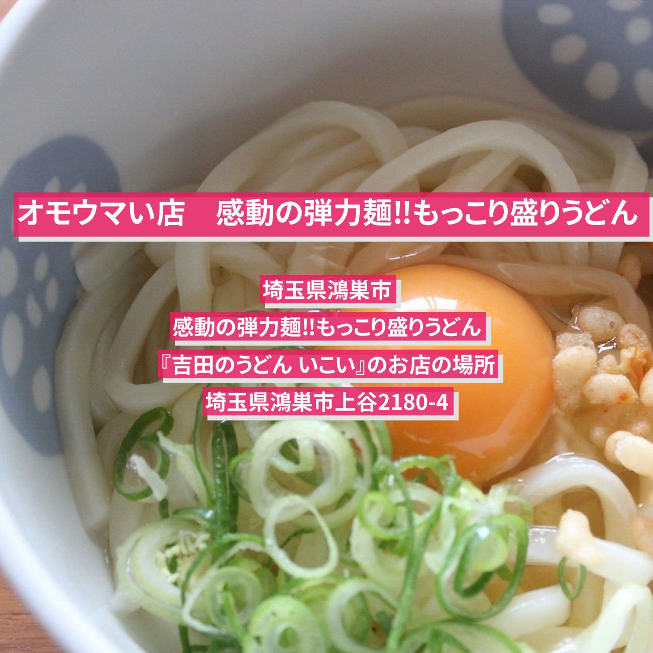 【オモウマい店】麺が硬い！もっこりうどん『吉田うどん いこい』埼玉県鴻巣市のお店の場所