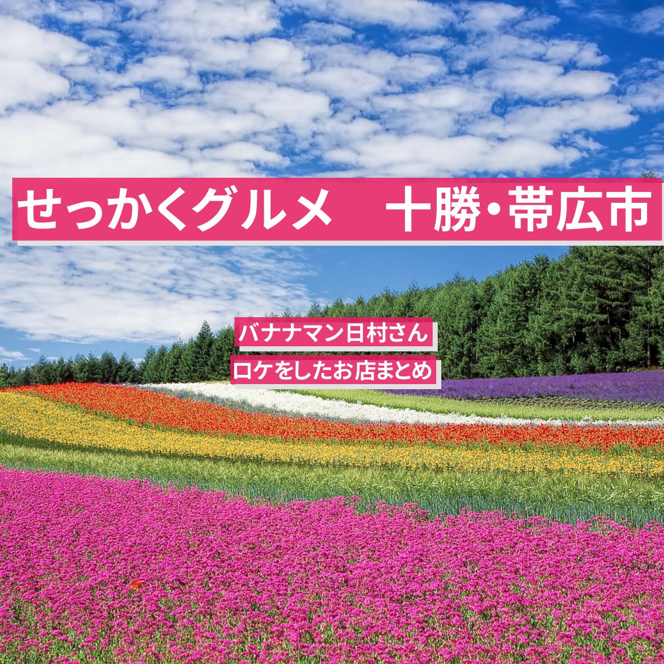 【せっかくグルメ】帯広・十勝でバナナマン日村さんがロケをしたお店まとめ〔豚丼・チーズ・熟成とんかつ〕