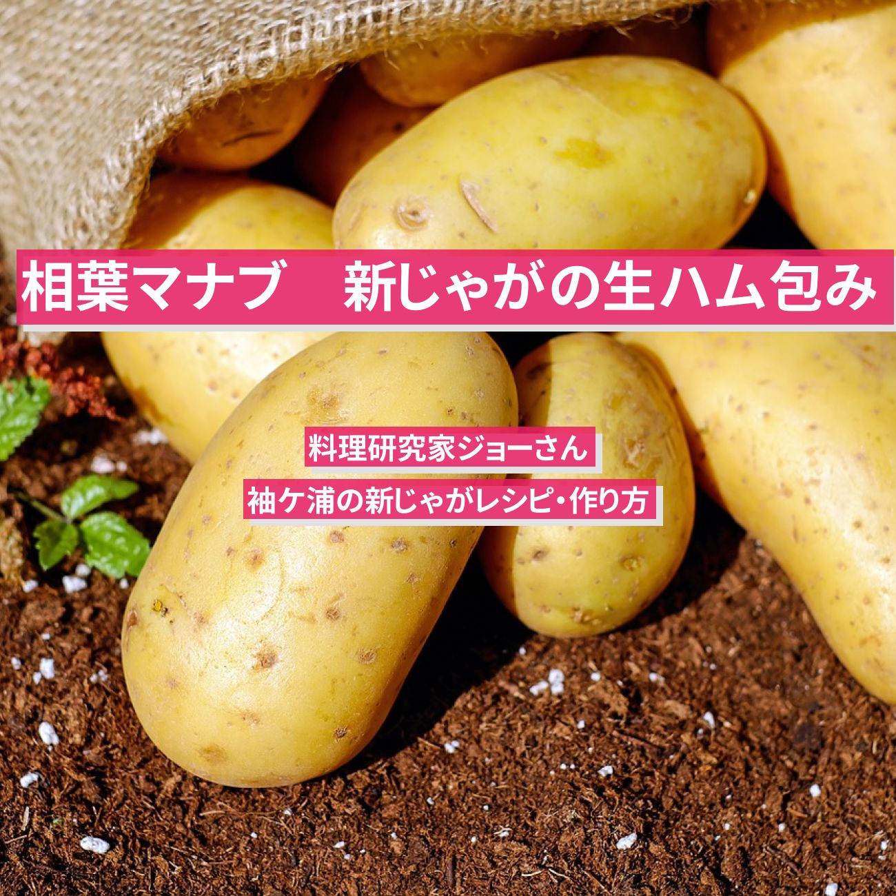 【相葉マナブ】『新じゃがの生ハム包み』料理研究家ジョーさんの袖ケ浦の新じゃがレシピ・作り方