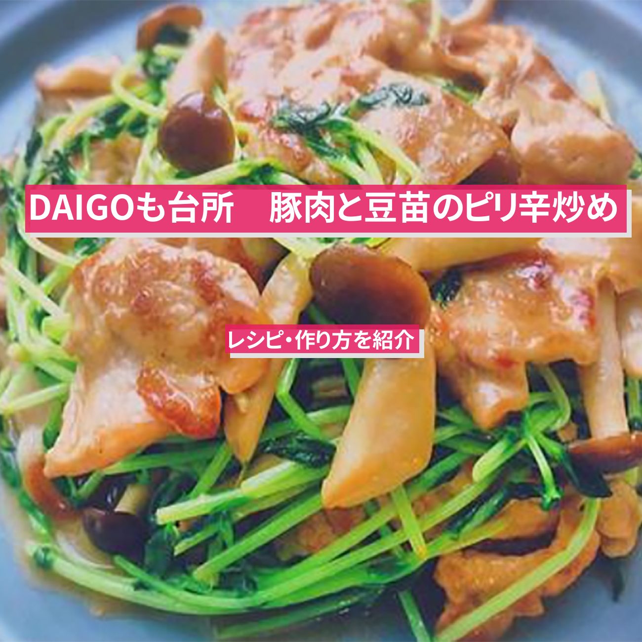 【DAIGOも台所】『豚肉と豆苗のピリ辛炒め』のレシピ・作り方を紹介〔ダイゴも台所〕