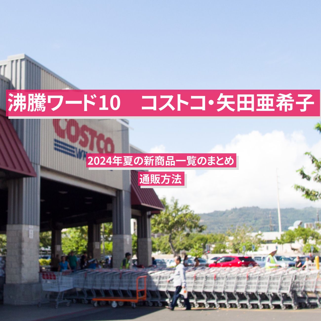 【沸騰ワード10】コストコ・矢田亜希子　2024年夏の新商品一覧のまとめ・通販方法