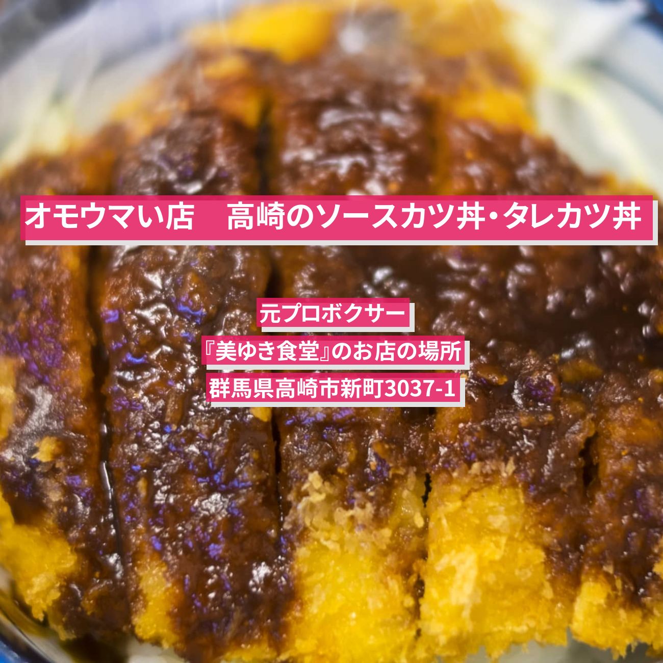 【オモウマい店】高崎のソースカツ丼・タレカツ丼　元プロボクサー『美ゆき食堂』のお店の場所