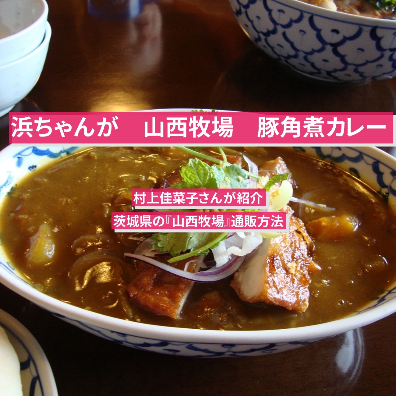 【浜ちゃんが】豚角煮カレー　村上佳菜子『山西牧場』茨城県の通販方法〔芸能人お取り寄せグルメ〕