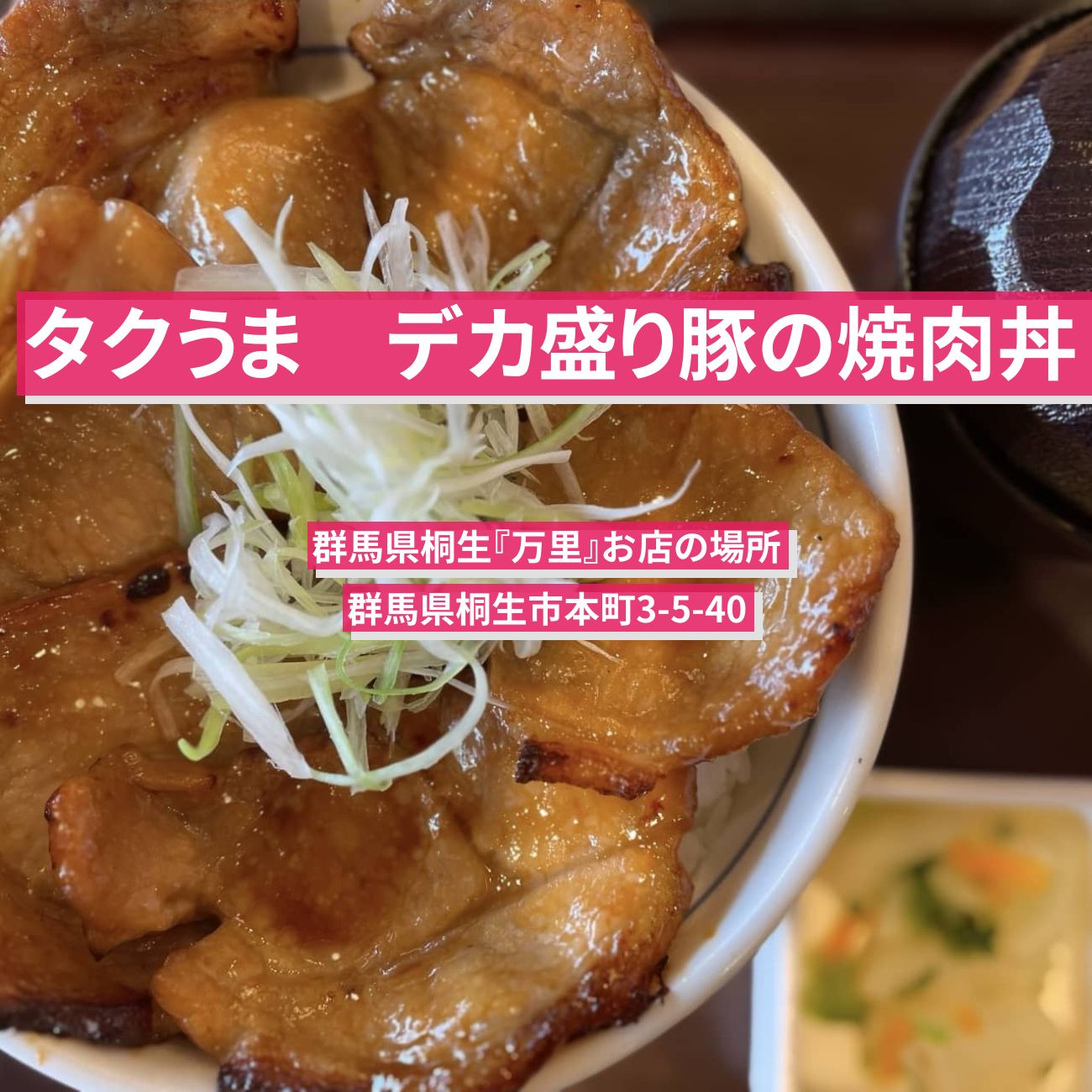 【タクうま】豚の焼肉丼・デカ盛りが名物『万里』群馬県桐生のお店の場所〔タクシー運転手さん一番うまい店に連れてって〕