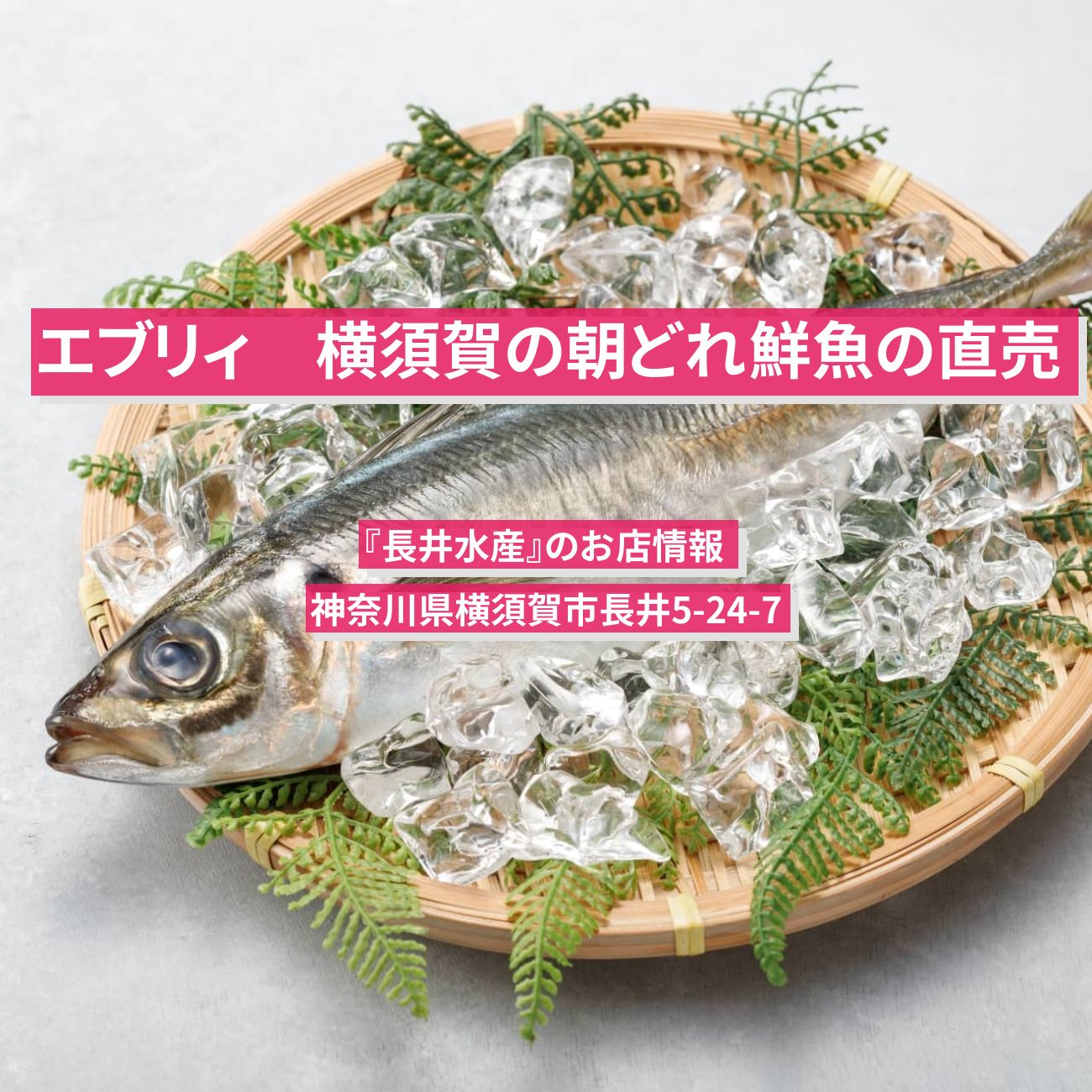 【エブリィ 】横須賀の朝どれ鮮魚の直売・魚の詰め放題『長井水産』のお店情報 #every