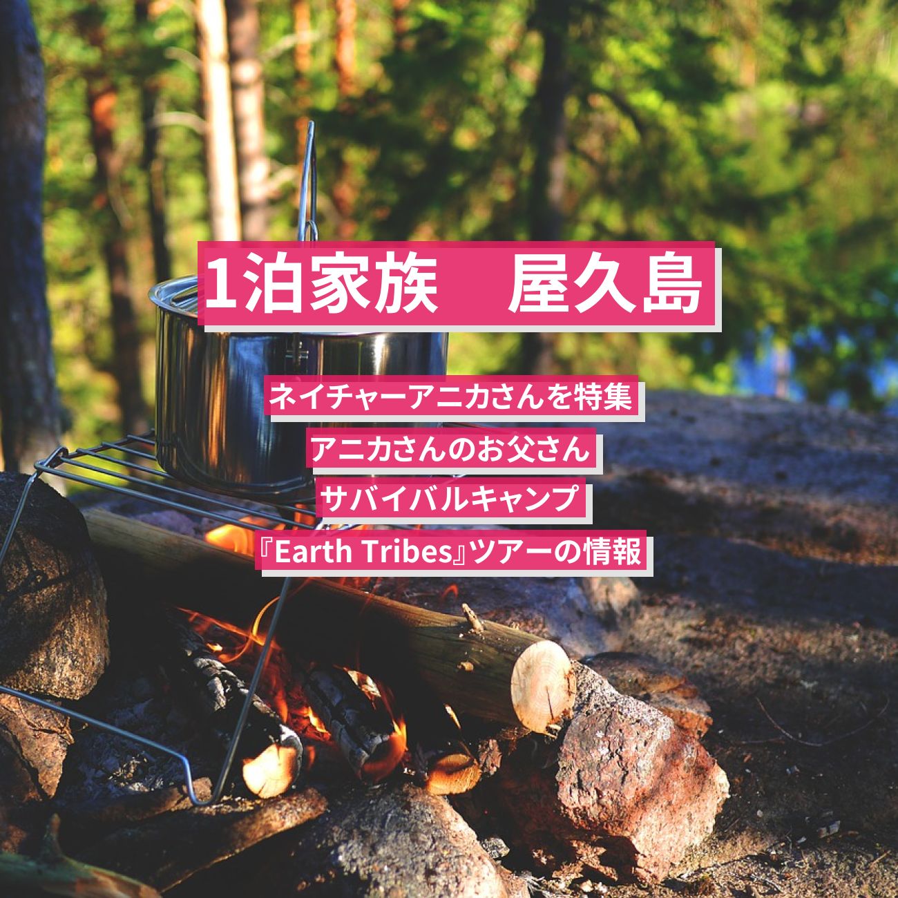 【1泊家族】屋久島のアニカさんのお父さんのサバイバルキャンプ『Earth Tribes』ツアーの情報