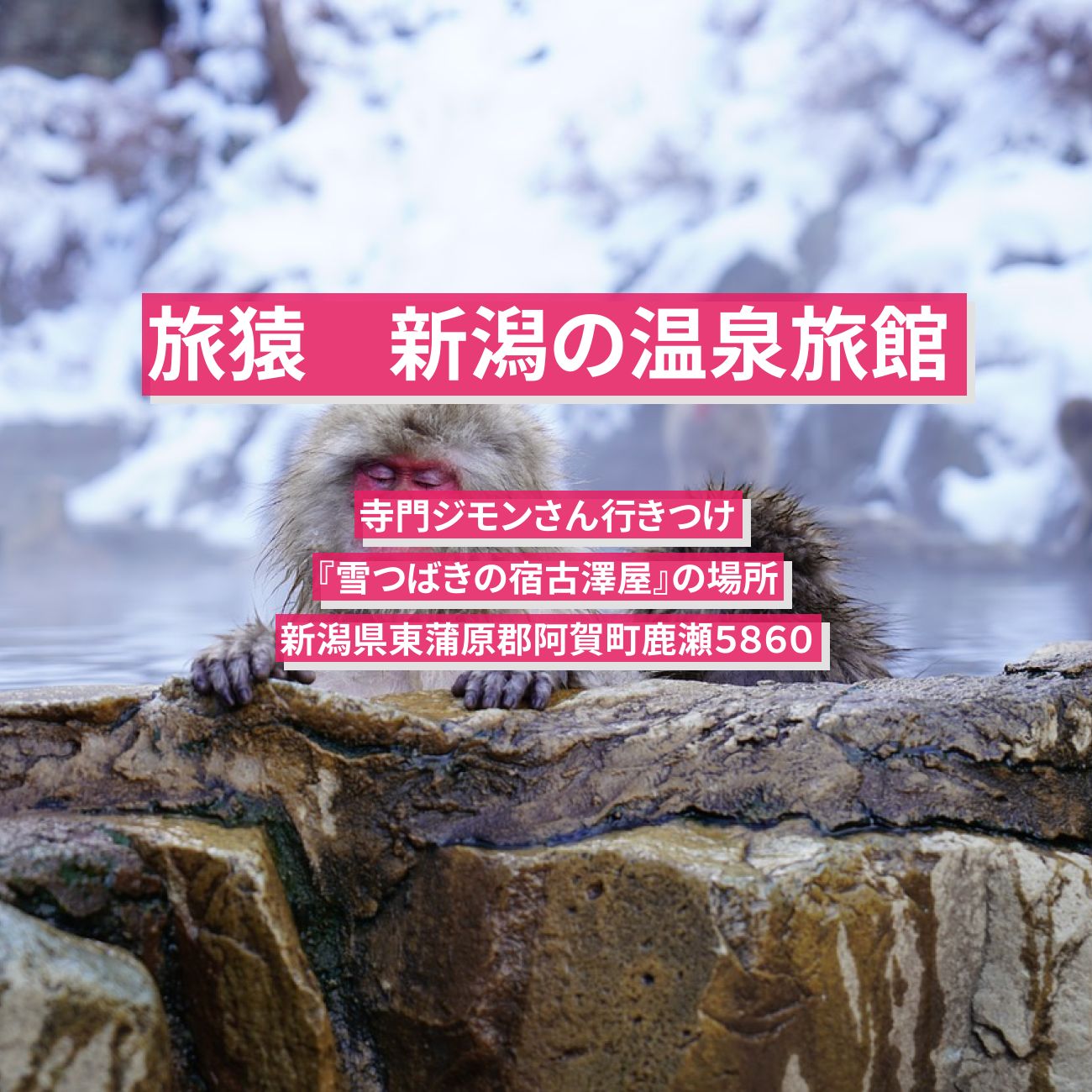 【旅猿】新潟で宿泊した寺門ジモンさん行きつけ温泉旅館『雪つばきの宿古澤屋』の場所