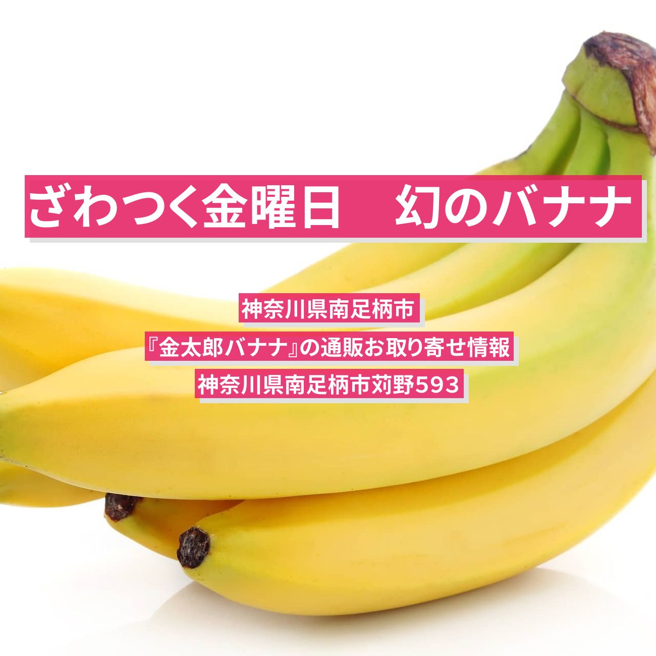 【ざわつく金曜日】幻のバナナ・バナナアイス　神奈川県南足柄市『金太郎バナナ』の通販お取り寄せ情報