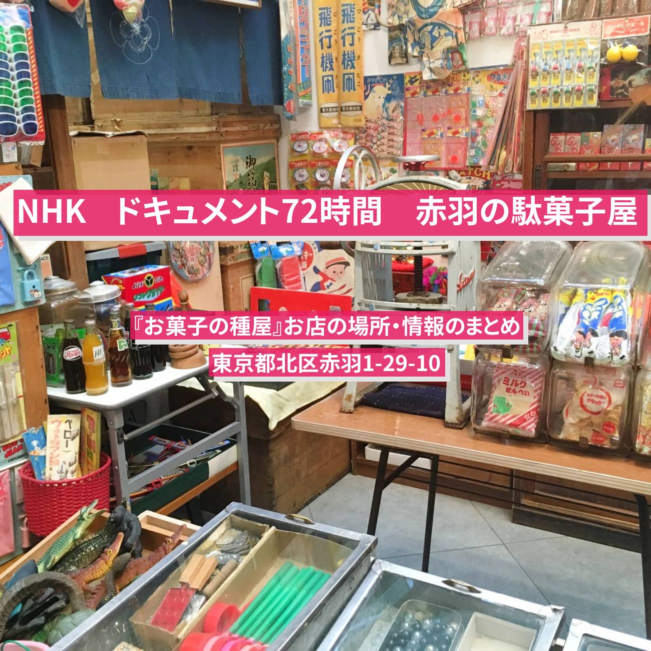 【NHK ドキュメント72時間】赤羽の駄菓子屋『お菓子の種屋』お店の場所・情報のまとめ