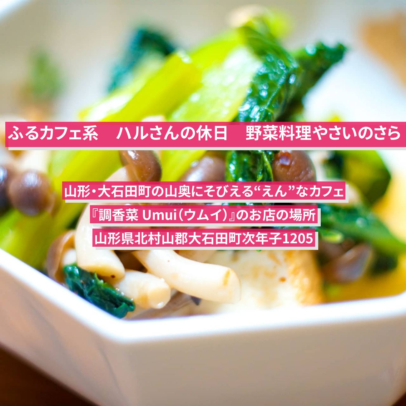 【ふるカフェ系 ハルさんの休日】山形・円形の廃校で野菜料理・やさいのさら『調香菜 Umui（ウムイ）』大石田町のカフェのお店の場所