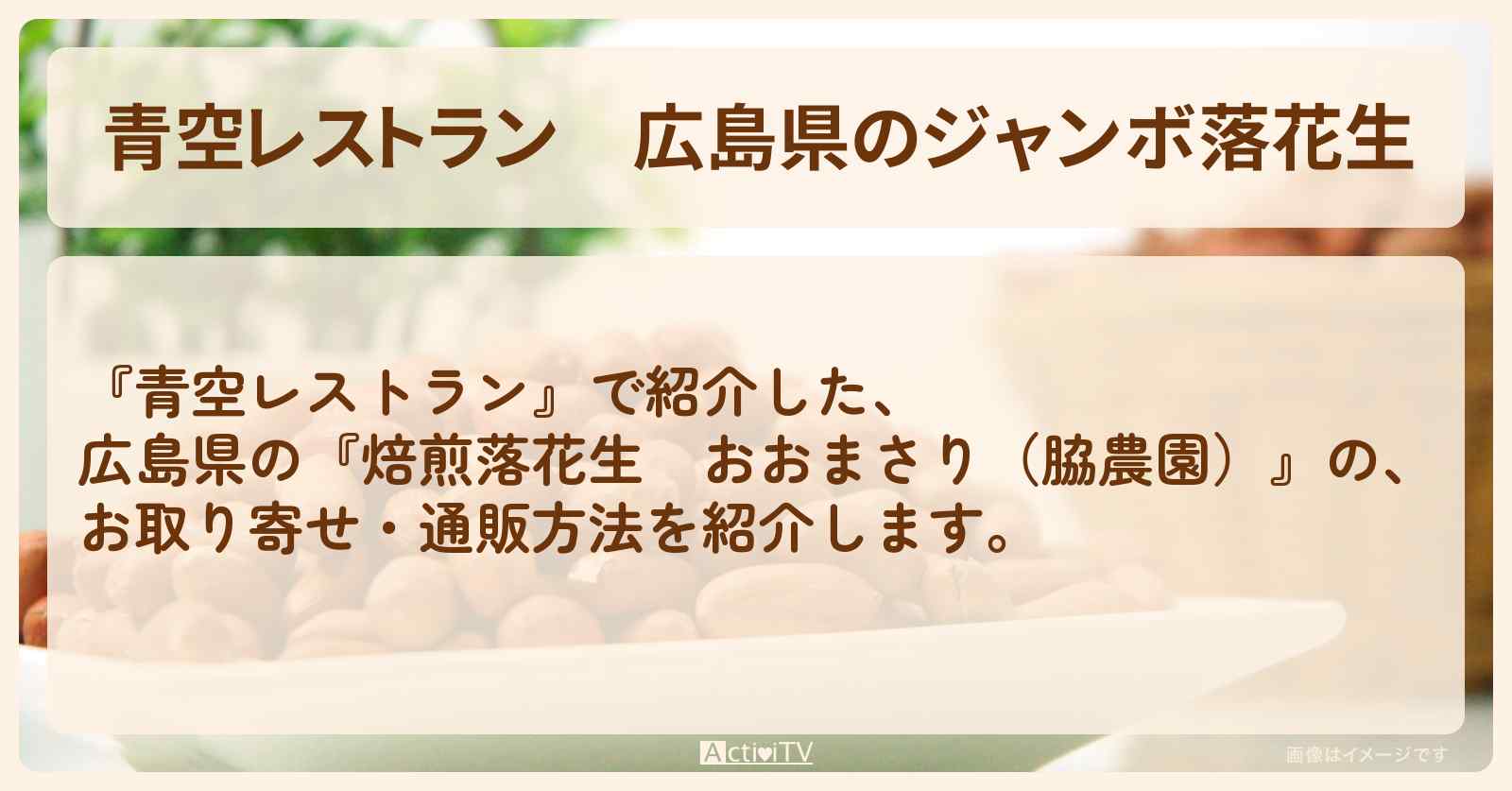 【青空レストラン】広島県のジャンボ落花生『焙煎落花生　おおまさり（脇農園）』お取り寄せ・通販方法〔小倉優子〕