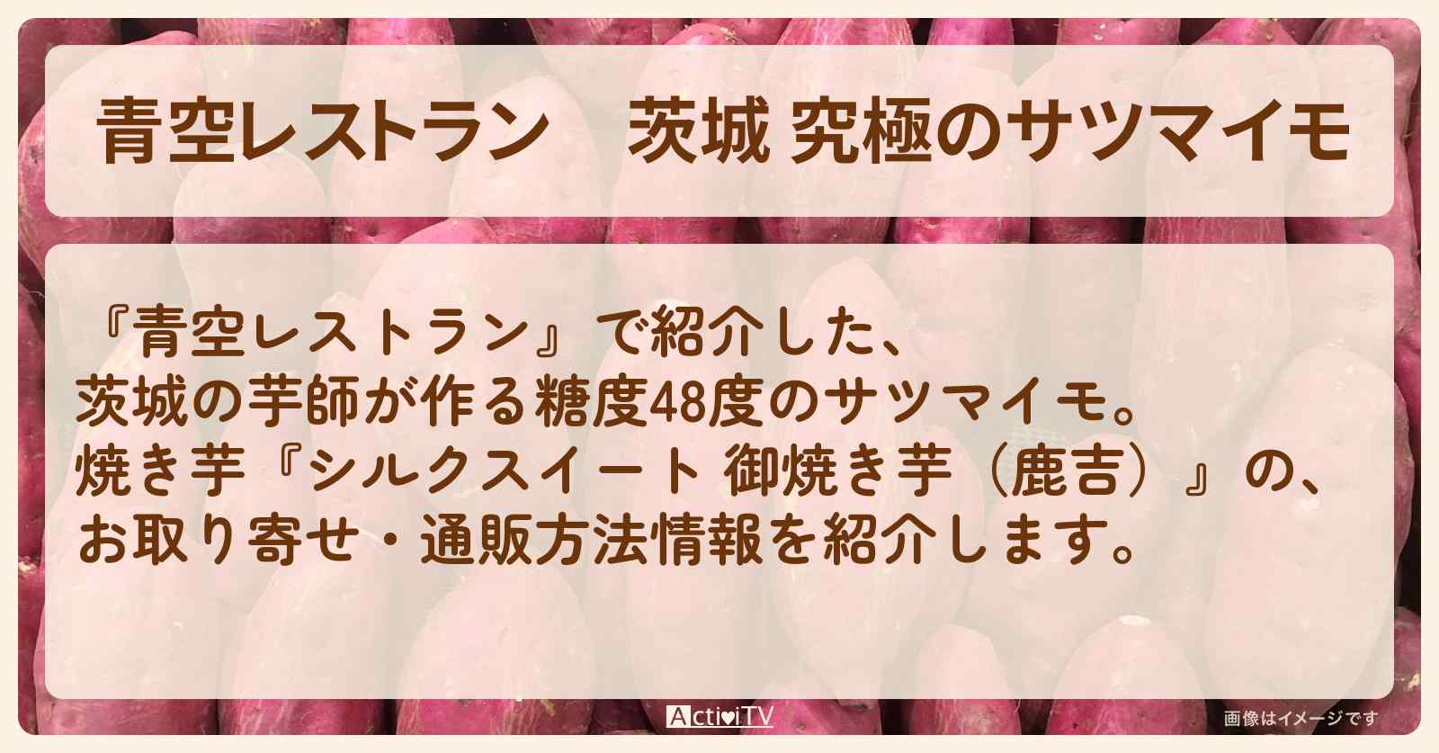 【青空レストラン】茨城 究極のサツマイモ『シルクスイート 御焼き芋(鹿吉)』のお取り寄せ・通販方法