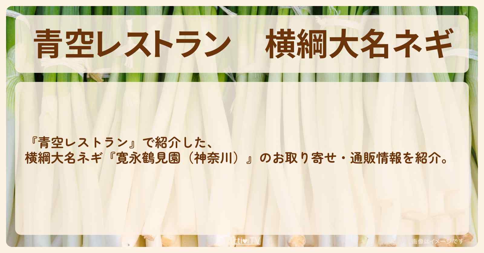 【青空レストラン】横綱大名ネギ『寛永鶴見園（神奈川）』のお取り寄せ・通販方法〔水樹奈々〕