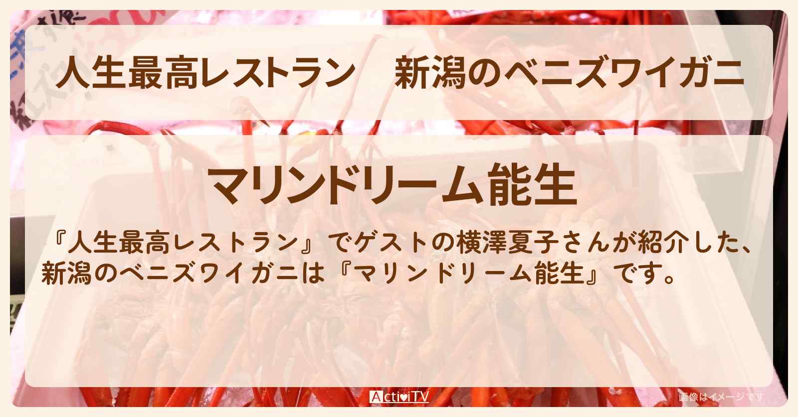 新潟のベニズワイガニ『宝寿丸・マリンドリーム能生』のお店の場所〔横澤夏子〕