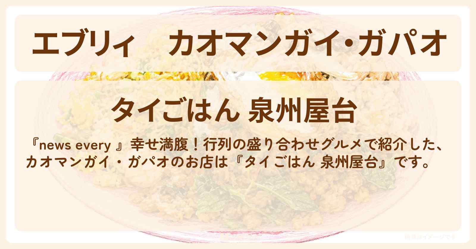 【エブリィ】カオマンガイ・ガパオ『タイごはん 泉州屋台』港区 芝公園の行列のタイ料理盛り合わせのお店情報 #every
